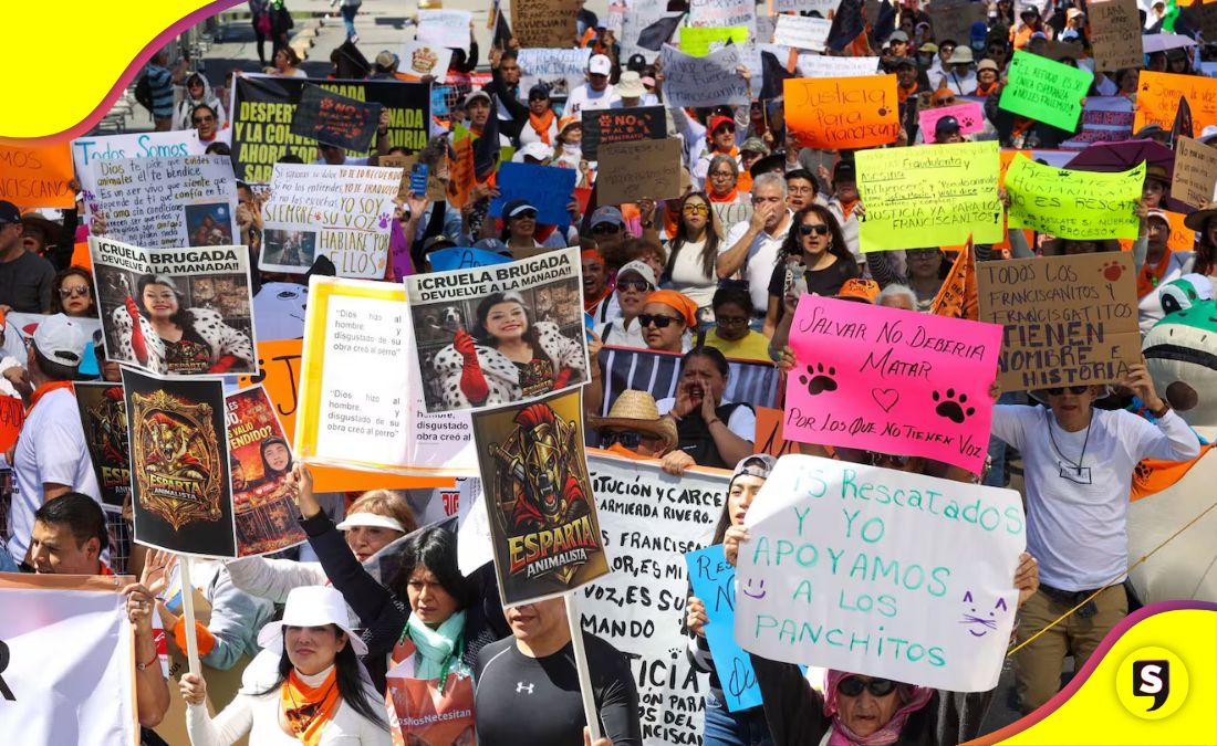 Refugio Franciscano Gobierno de la CDMX