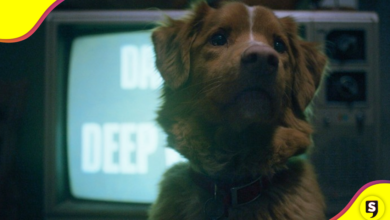 Indy: un "Good Boy" con un talento natural.