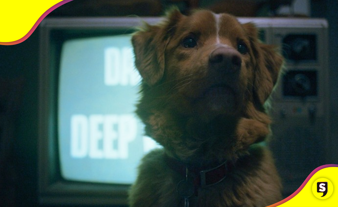 Indy: un "Good Boy" con un talento natural.