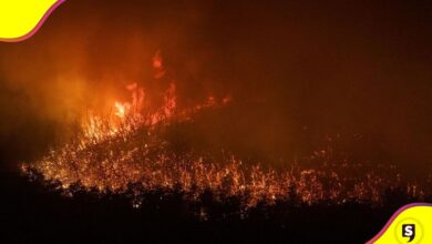 incendios bosques de la Patagonia
