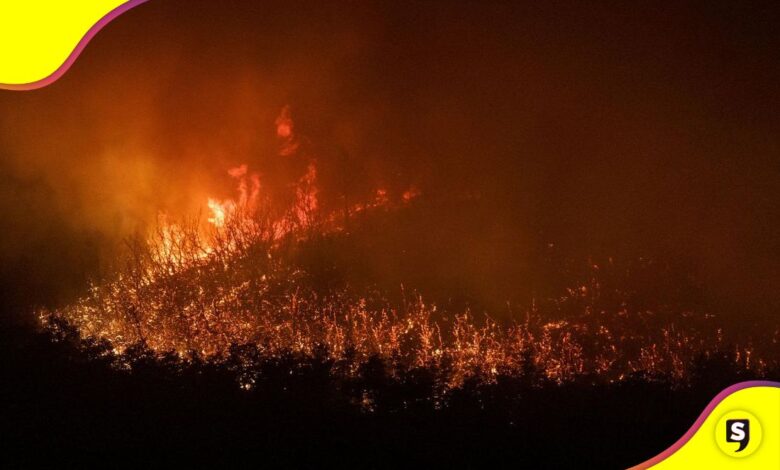 incendios bosques de la Patagonia