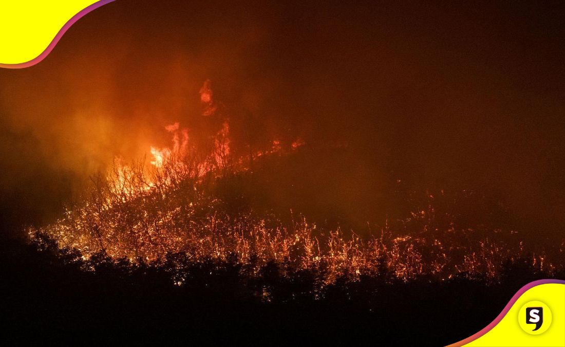 incendios bosques de la Patagonia