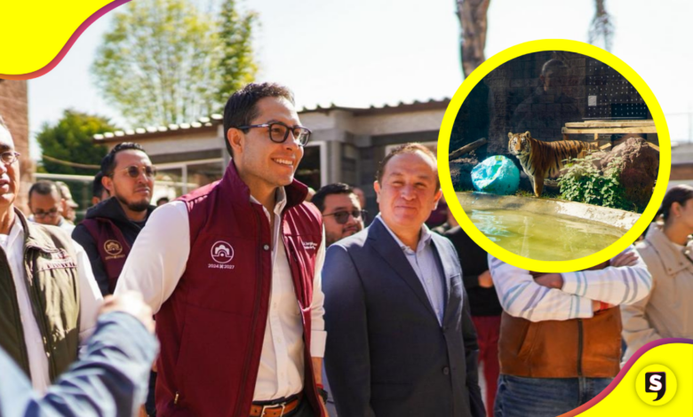 Cumplen 10 años salvando animalitos en Pachuca