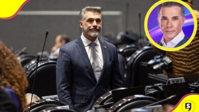 Sergio Mayer licencia indefinida