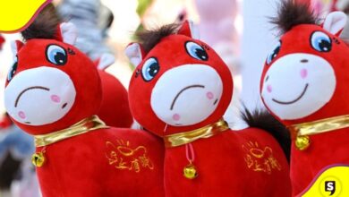 caballo llorón China