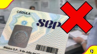 cédula profesional identificación oficial