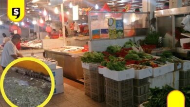 Cocodrilo Central de Abasto en Villahermosa
