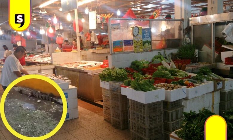 Cocodrilo Central de Abasto en Villahermosa