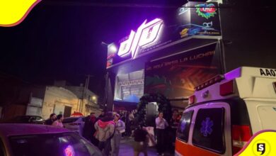 apertura de Arena DTU