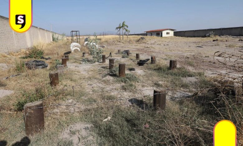 un año Rancho Izaguirre