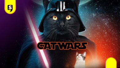 Catflix