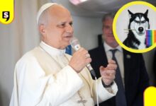 León bendición a parejas LGBT+