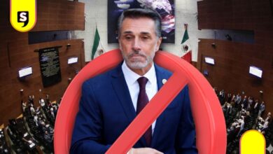 Ley Anti-Sergio Mayer
