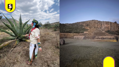 ¡Pulque ilimitado! Lánzate a ruta de tinacales en Huapalcalco