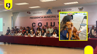Solo Singuilucan cumple meta antirrábica en Tulancingo