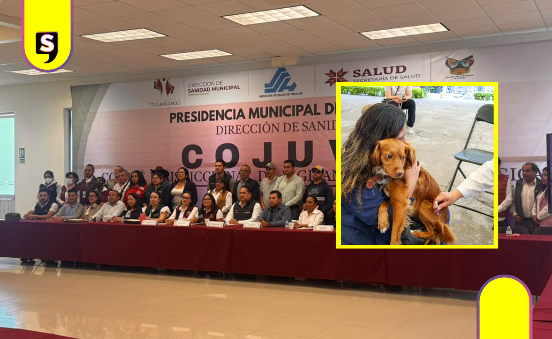 Solo Singuilucan cumple meta antirrábica en Tulancingo
