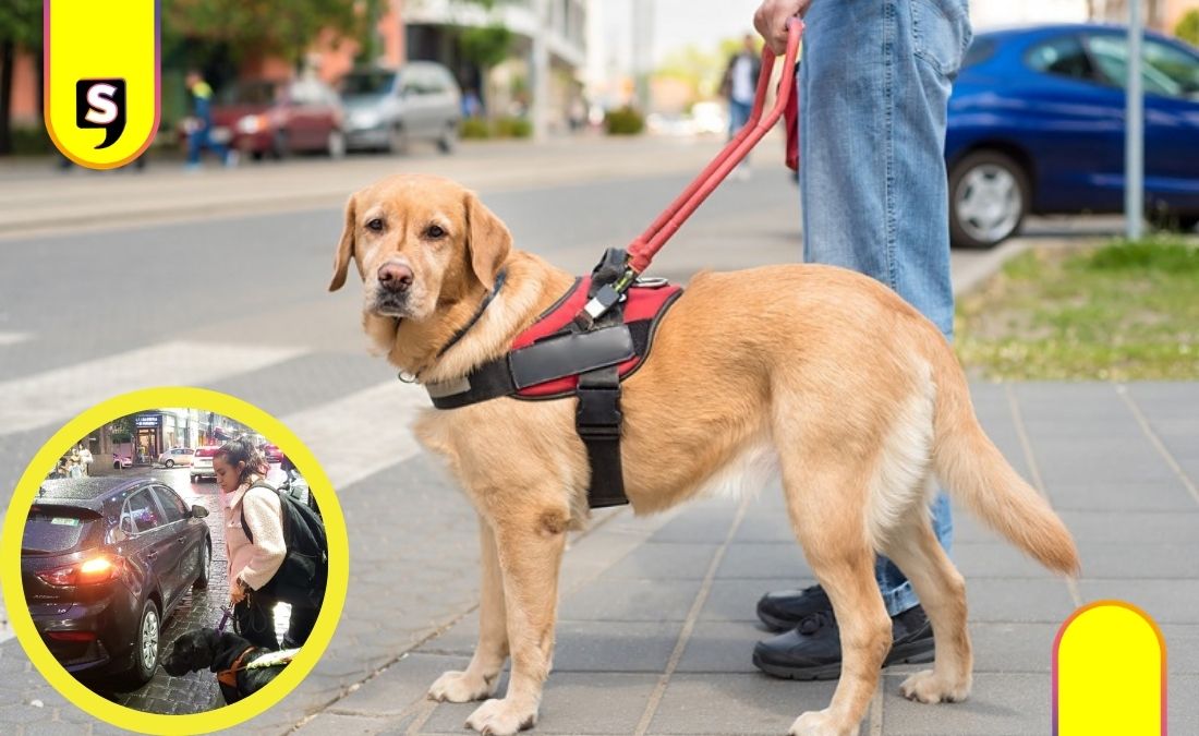 discriminación en Uber por perro guía