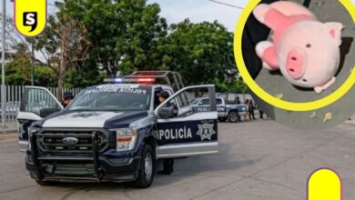 Cerdito de peluche en Culiacán