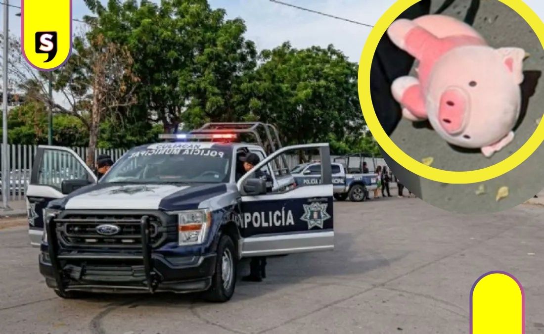 Cerdito de peluche en Culiacán