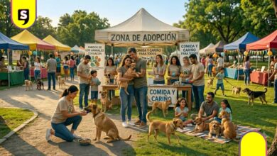 Coyoacán reunión de perritos caramelo