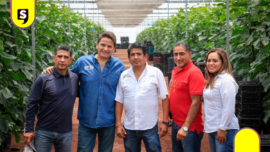 Ochoa impulsa precios justos tras récord en pepino y jitomate