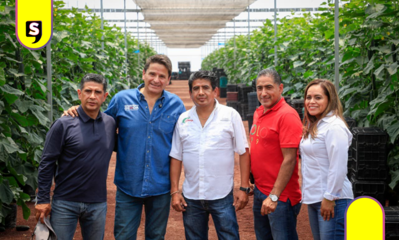 Ochoa impulsa precios justos tras récord en pepino y jitomate