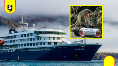 Brote de hantavirus en crucero: tres fallecidos