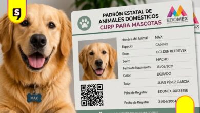Registro de mascotas Edomex
