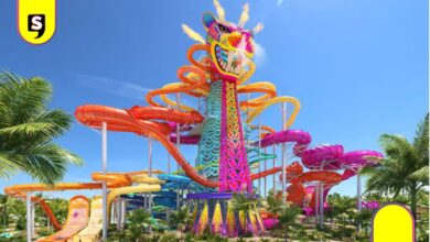 Royal Caribbean Perfect Day