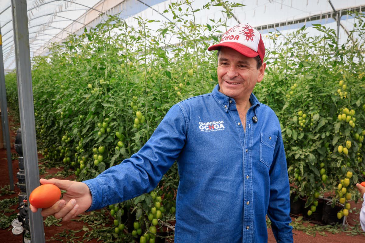Ochoa impulsa precios justos tras récord en pepino y jitomate - SubrayadoMx