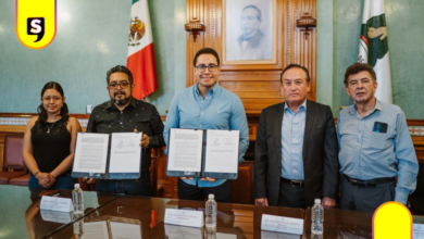 escarabajo descortezador en San Miguel Cerezo