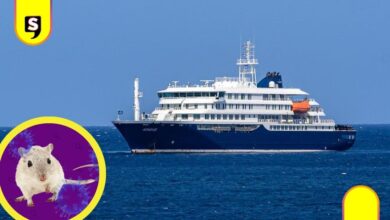 hantavirus crucero
