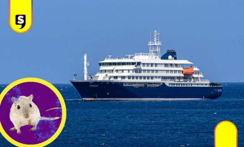 hantavirus crucero