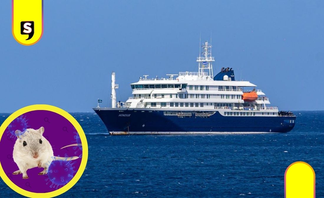 hantavirus crucero