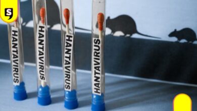 hantavirus en México