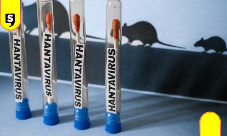 hantavirus en México