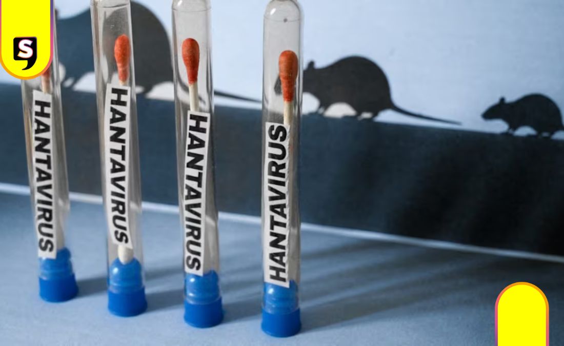 hantavirus en México
