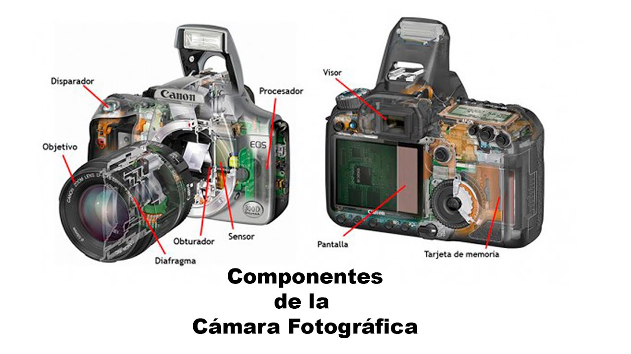 Guía breve de la fotografía digital moderna - SubrayadoMx - Componentes cámara digital