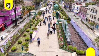 Jardín Flotante Tlalpan