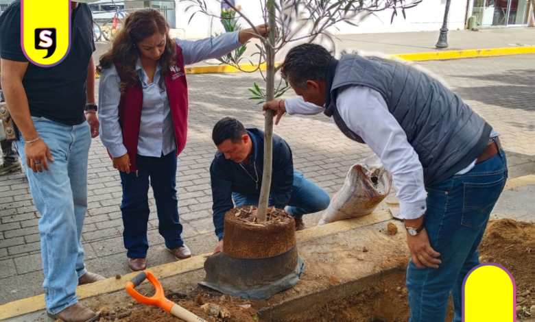Tulancingo apuesta por la reforestación urbana inteligente