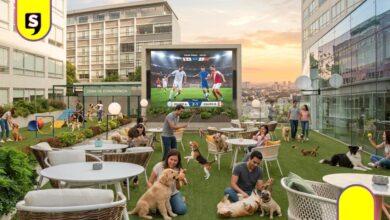 Fan Fest Perruno en CDMX