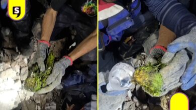 Loro escombros en Venezuela