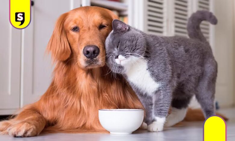 Mitos de la esterilización