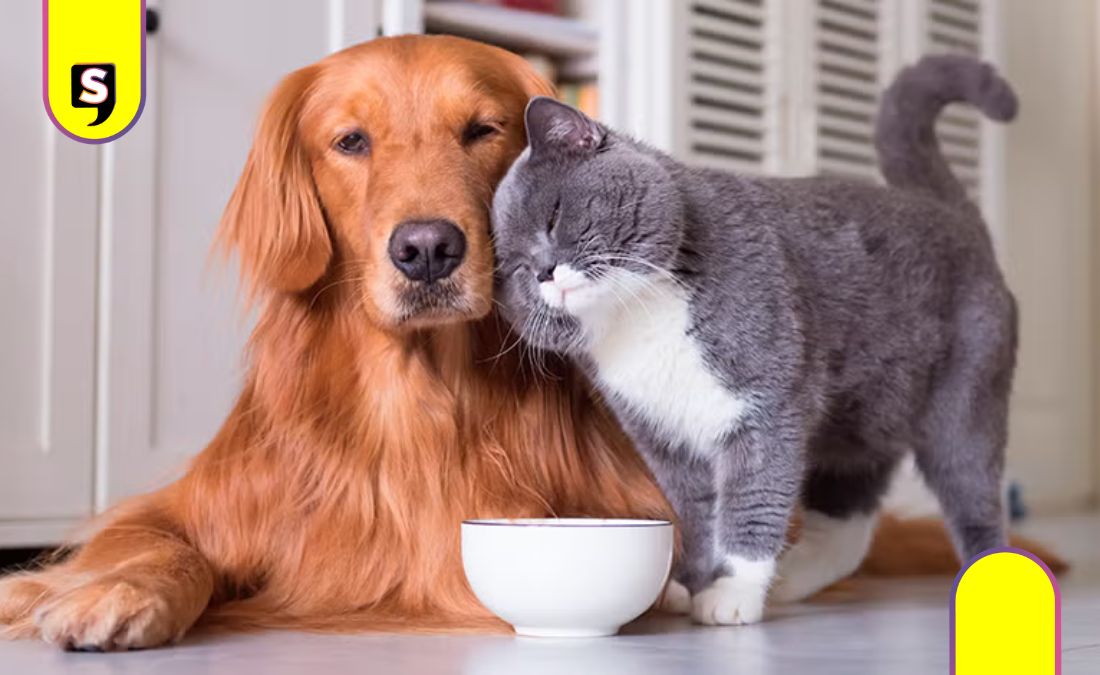 Mitos de la esterilización