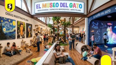 Museo del Gato en CDMX