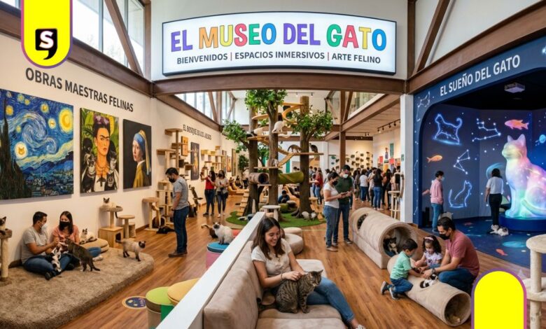 Museo del Gato en CDMX