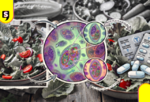 Identifican tres casos de ciclosporiasis en México