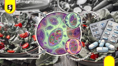 Identifican tres casos de ciclosporiasis en México