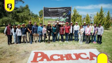 Pachuca Unidad Deportiva árboles