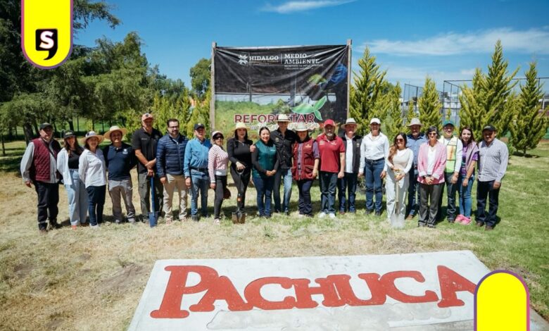 Pachuca Unidad Deportiva árboles